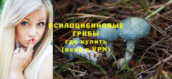гидра Аркадак