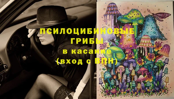 apvp Осинники
