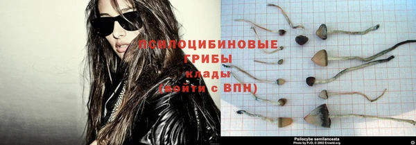 гидра Аркадак