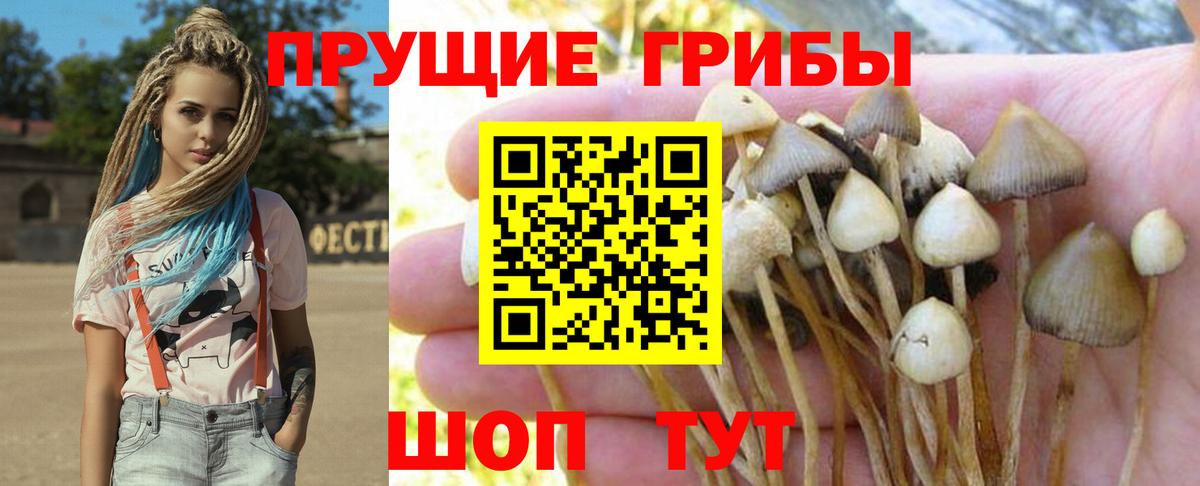 Галлюциногенные грибы Cubensis Ульяновск