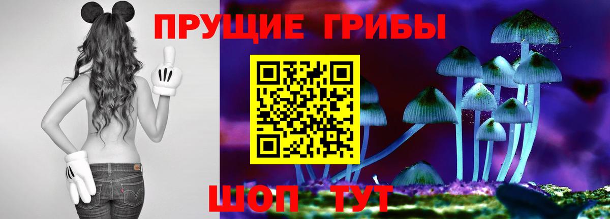 Псилоцибиновые грибы GOLDEN TEACHER  Вход с VPN  Ульяновск 